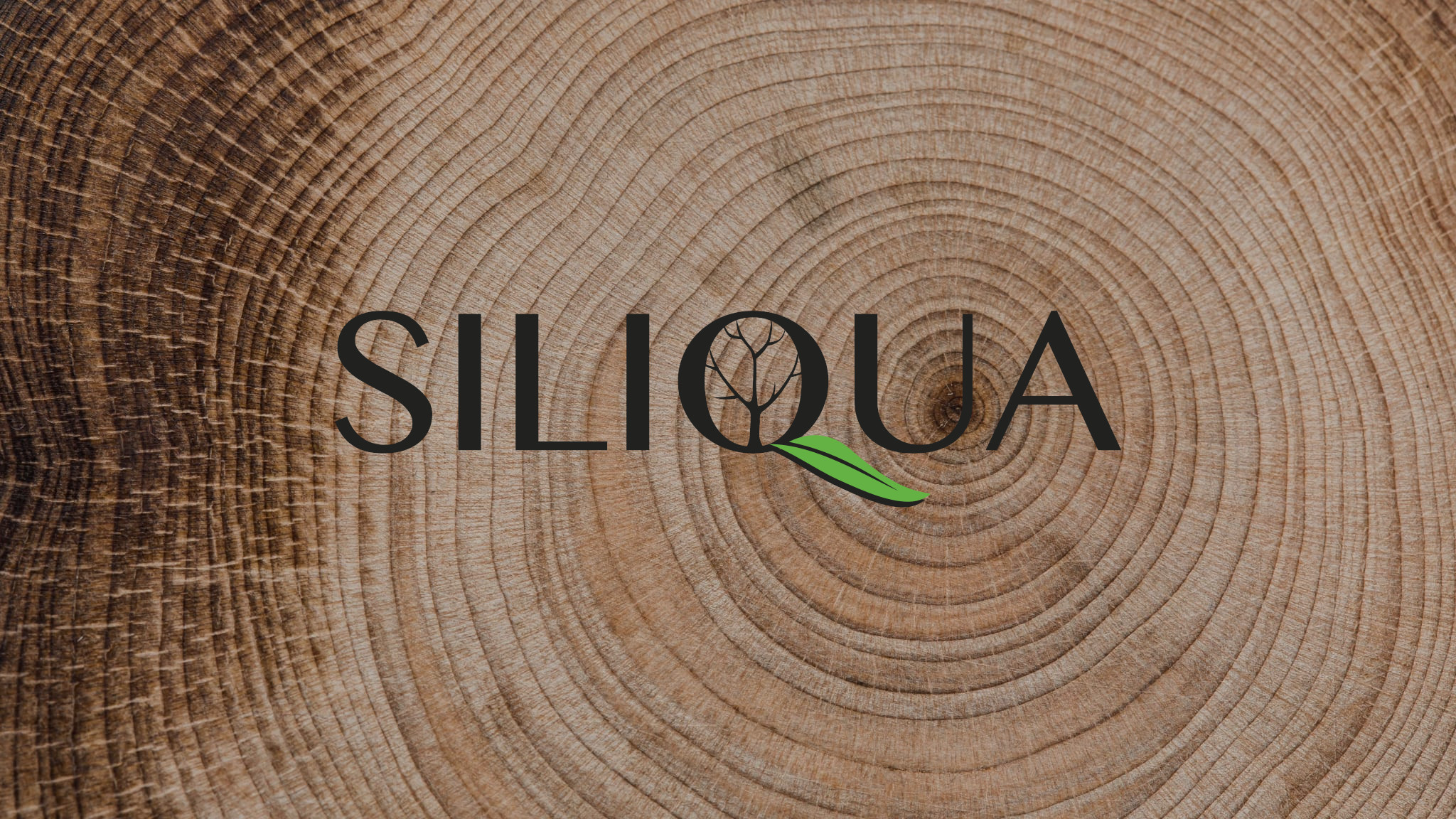 Siliqua Entreprise De Rognage De Souche D Arbre Et D Ssouchage De Haie